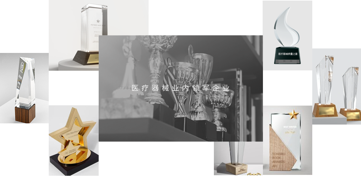 集團(tuán)榮譽(yù)(圖1)